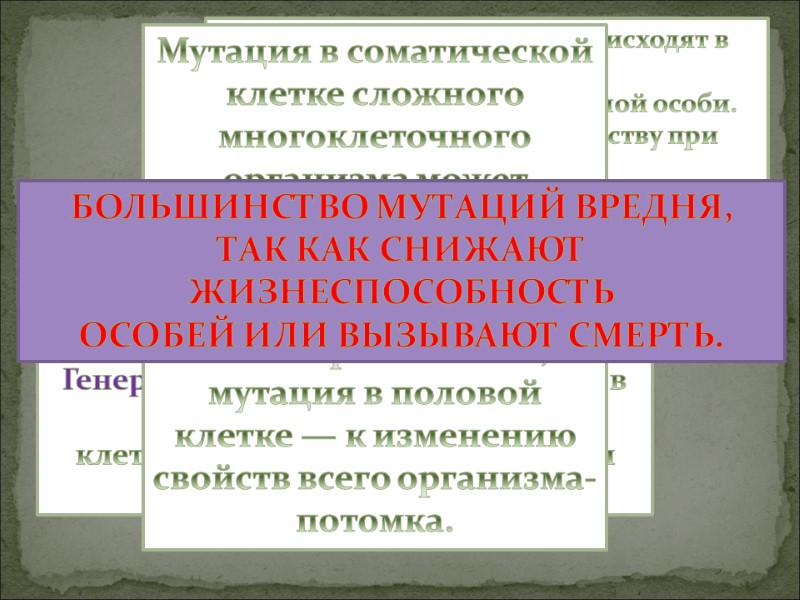 Соматические мутации происходят в соматических  клетках и проявляются у самой особи. Они передаются